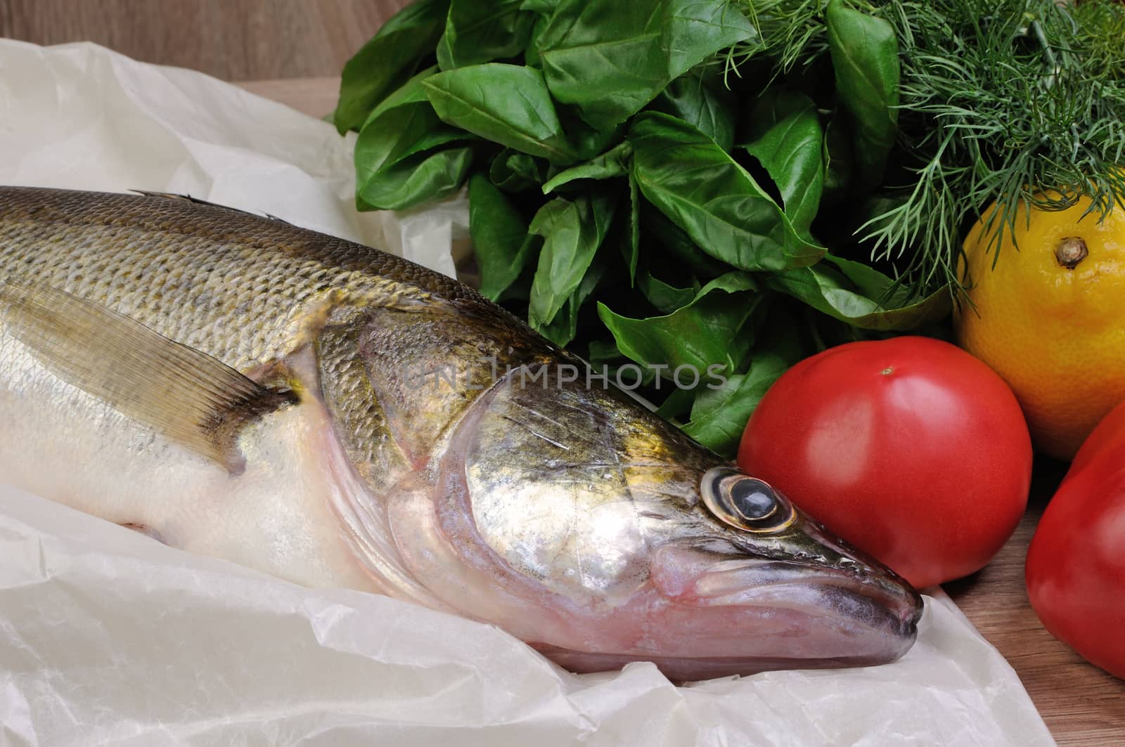 Raw fish pike perch on a paper with basil, tomatoes, dill, lemon
