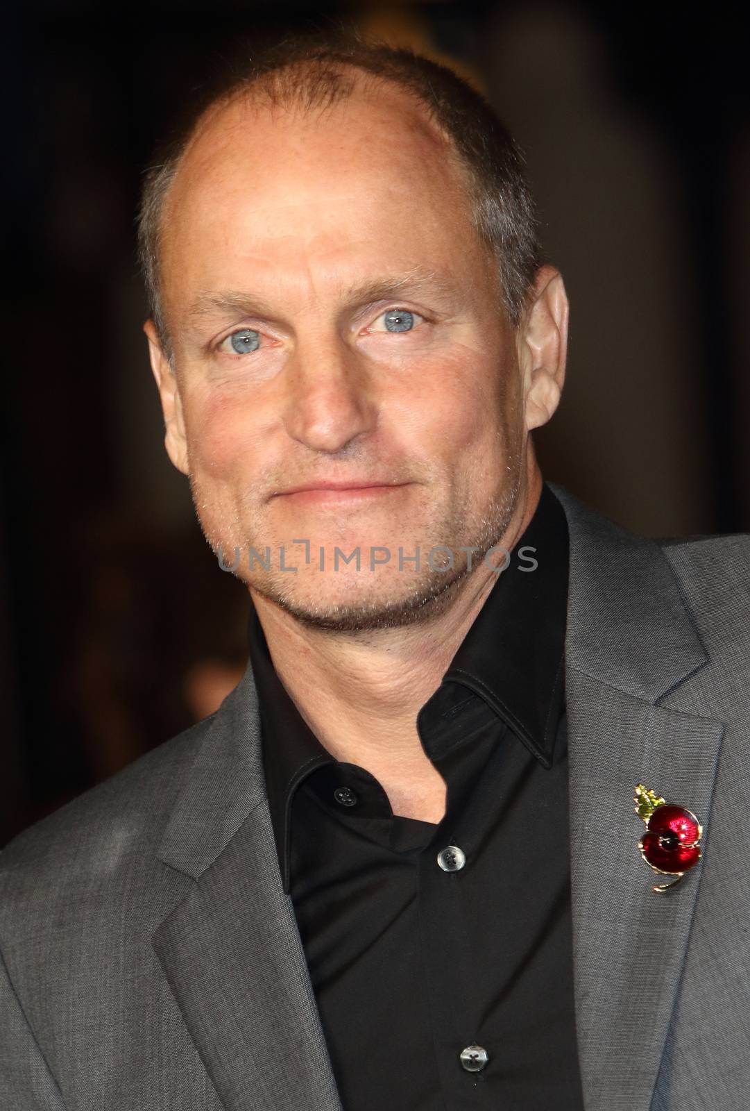 ENGLAND, London: Woody Harrelson attended the London premiere of 'The Hunger Games  Mockingjay Part 2' in Leicester Square on November 5, 2015. The cast is currently on a world tour for the final installment of the Hunger Games franchise.