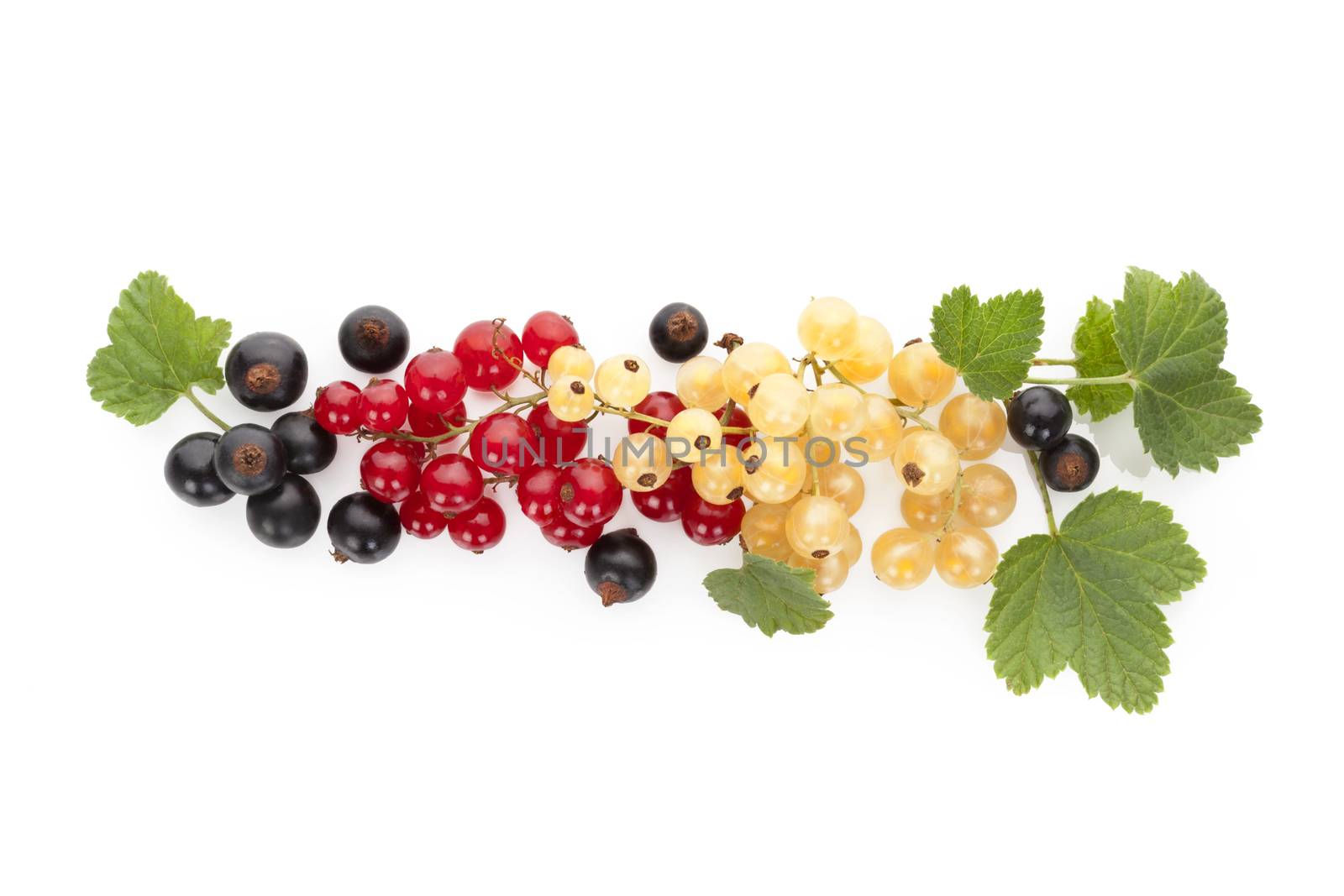 Red, white and black currant on white background. by eskymaks