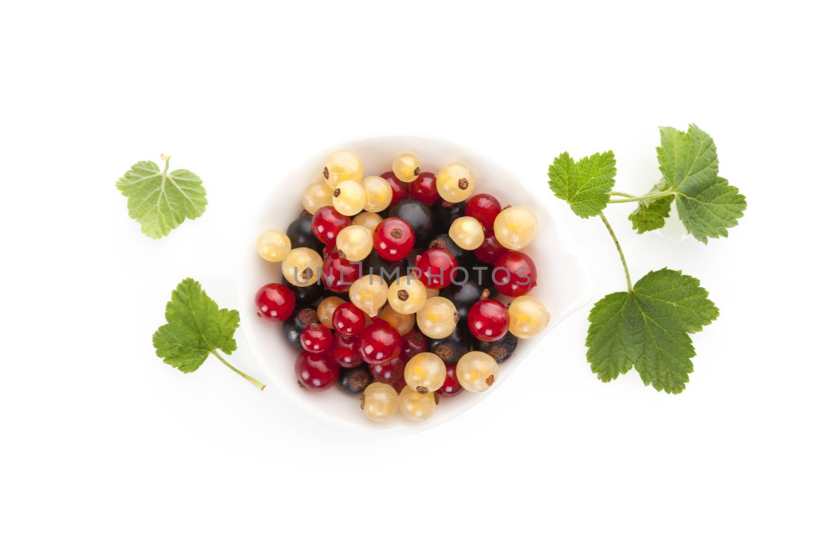 Red, white and black currant on white background. by eskymaks