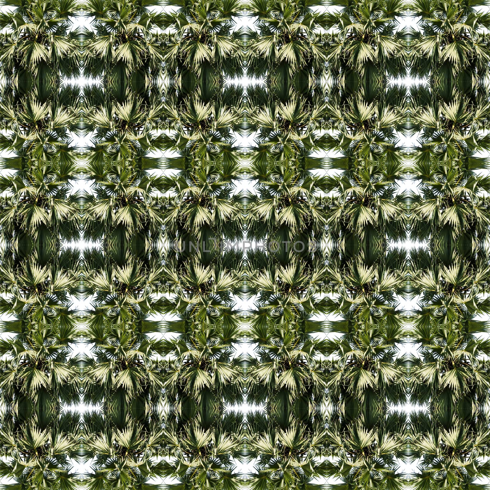 pattern background green tree