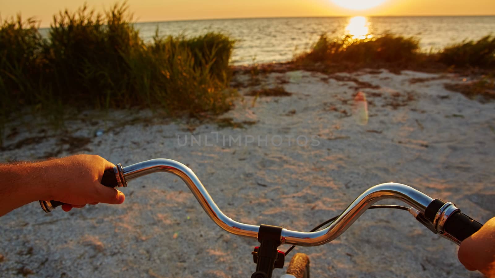 Hands holding handlebar of bicycle by sarymsakov