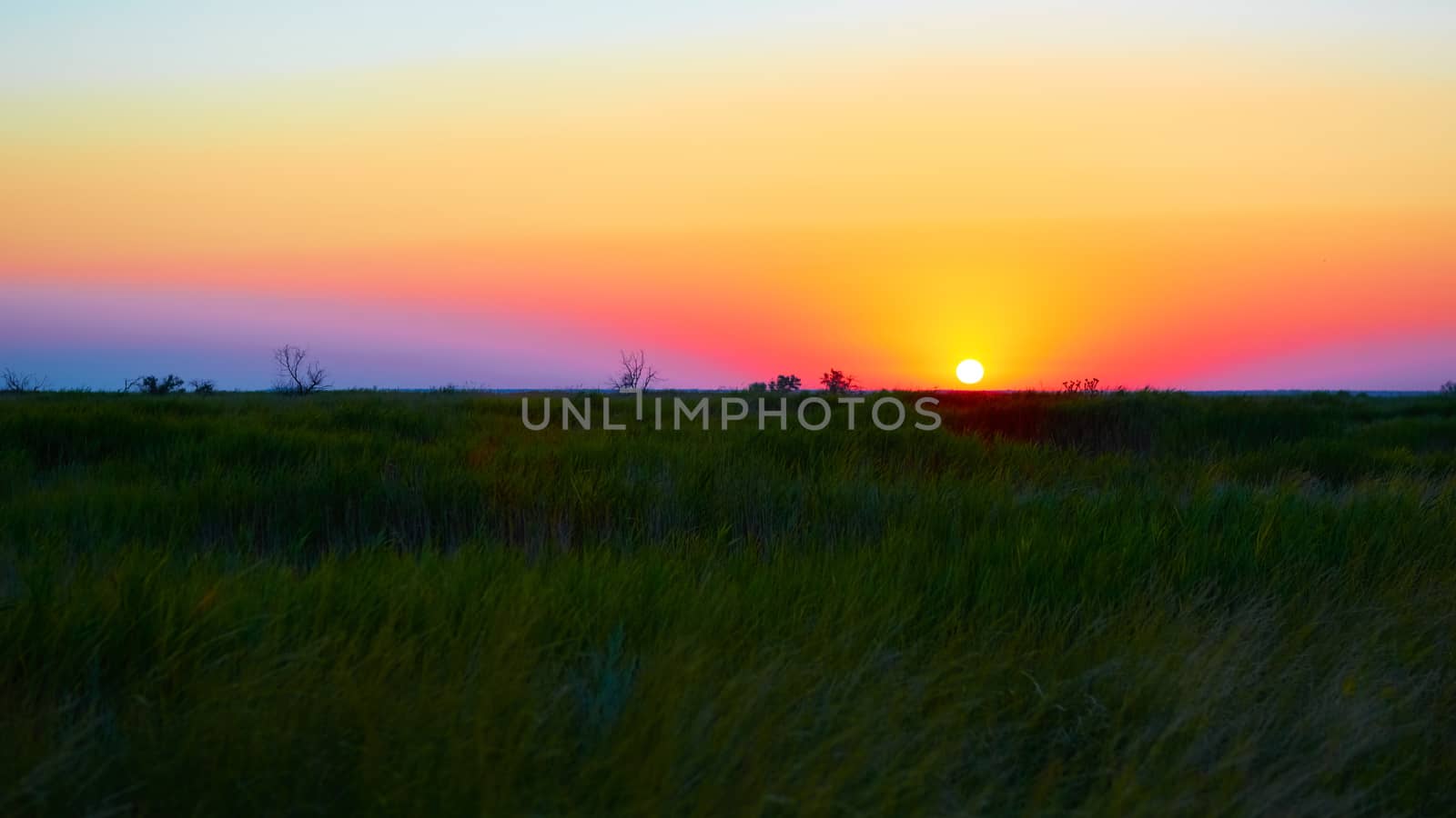 Scenic view of beautiful sunset in steppe 