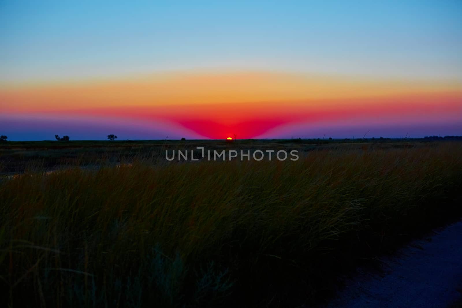 Scenic view of beautiful sunset in steppe 