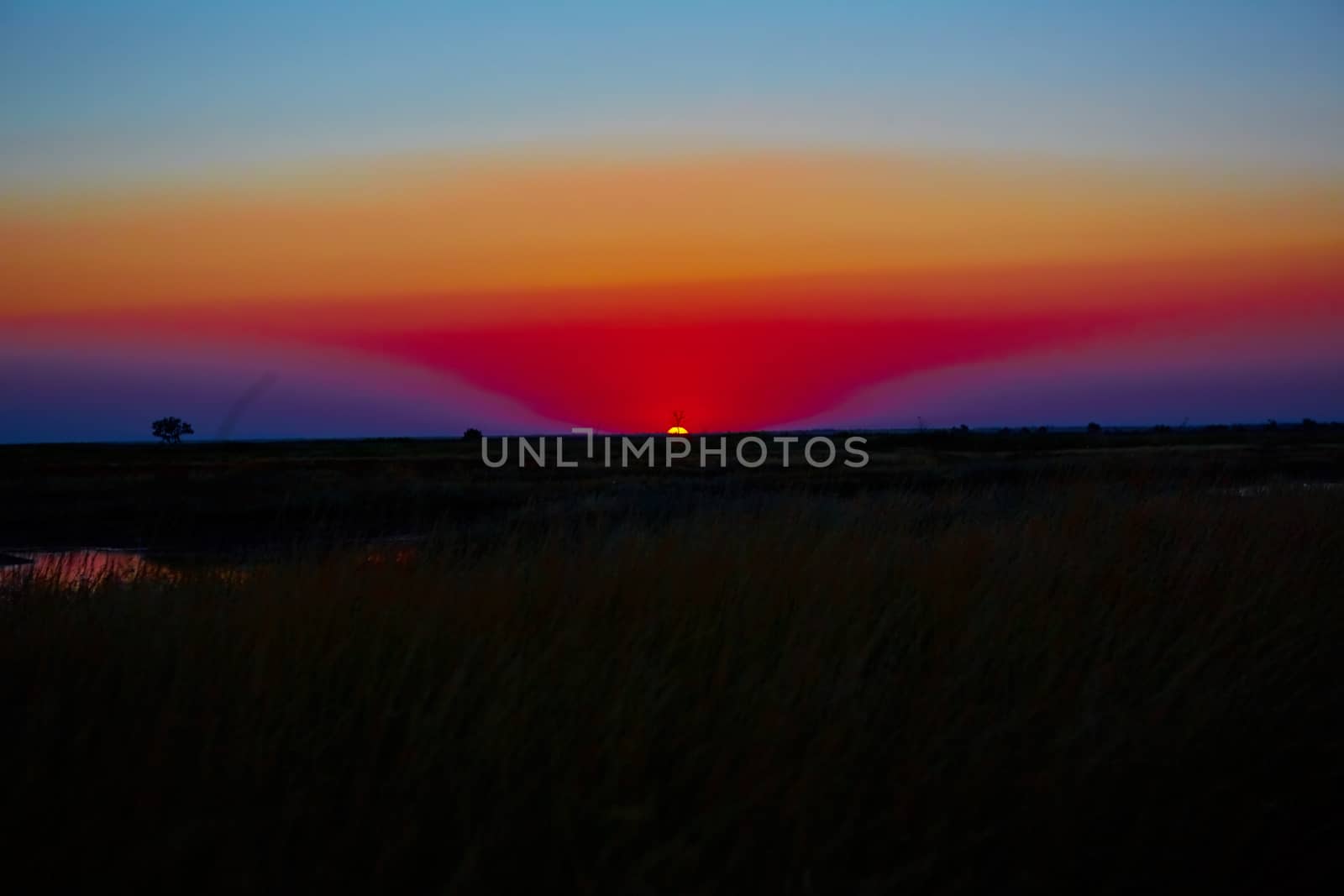 Scenic view of beautiful sunset in steppe 