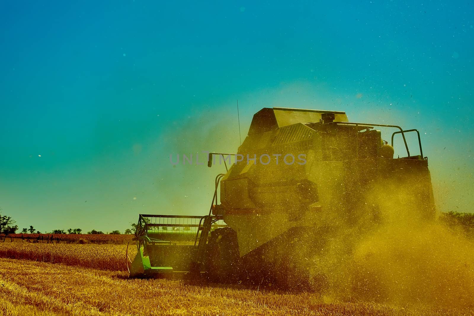 Harvester combine harvesting wheat on sunny summer day.