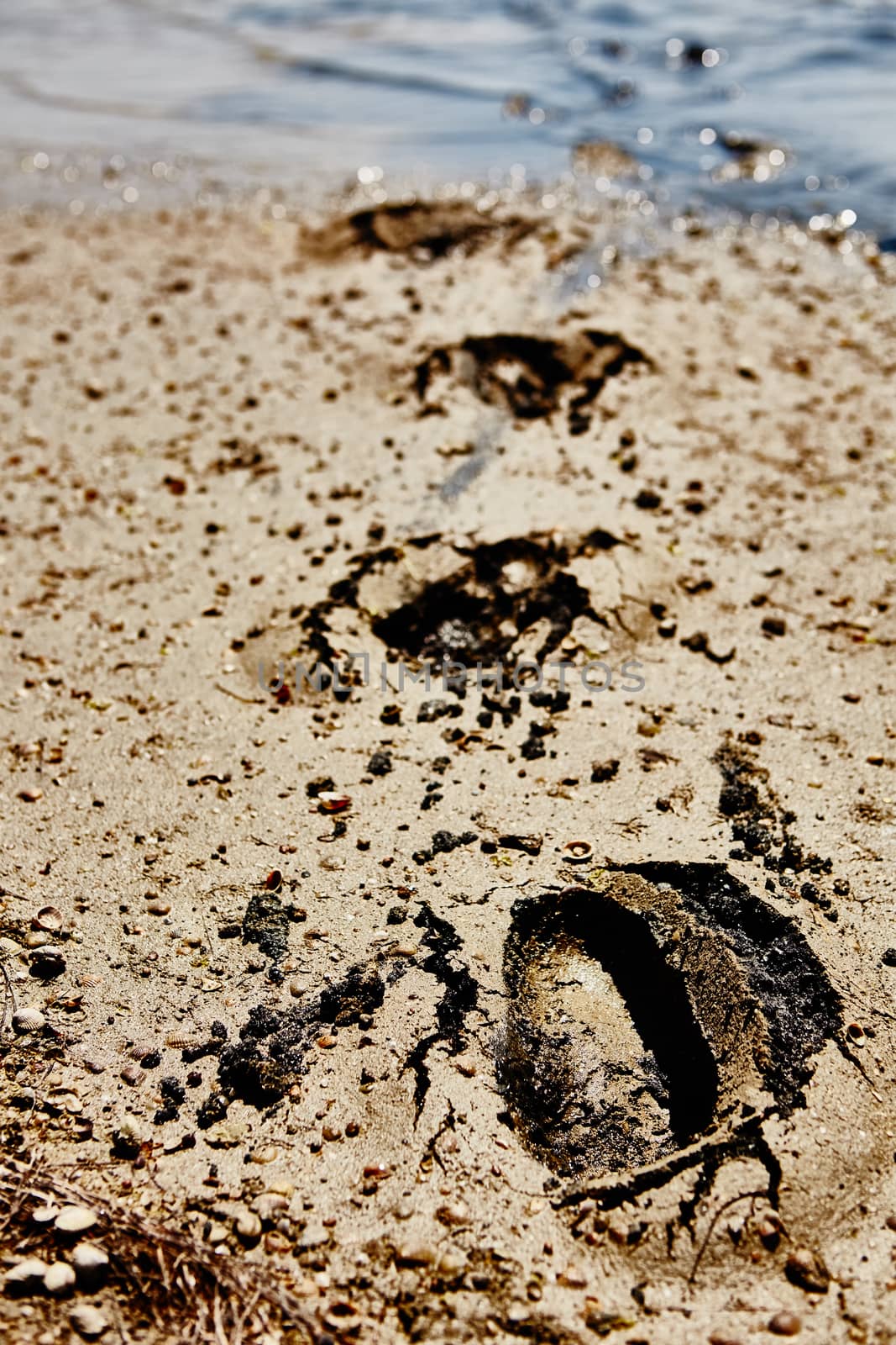 Footprints of the person in dirt. Summer day