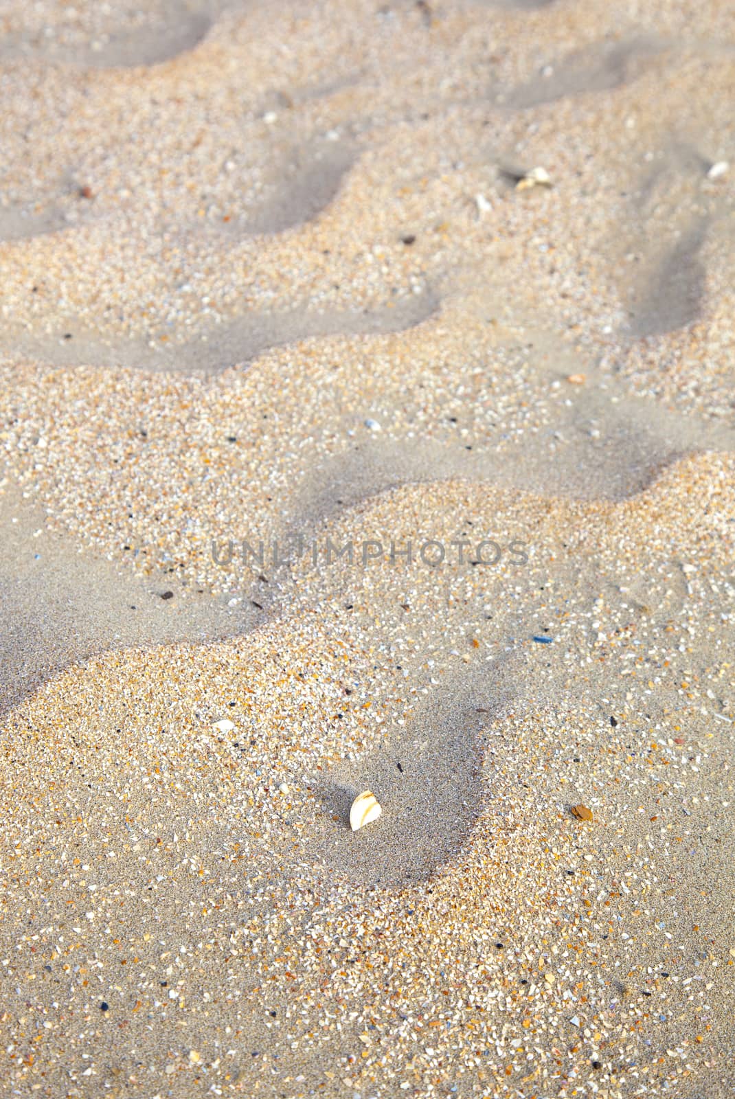 Close up of sand on sunny beach by gigra