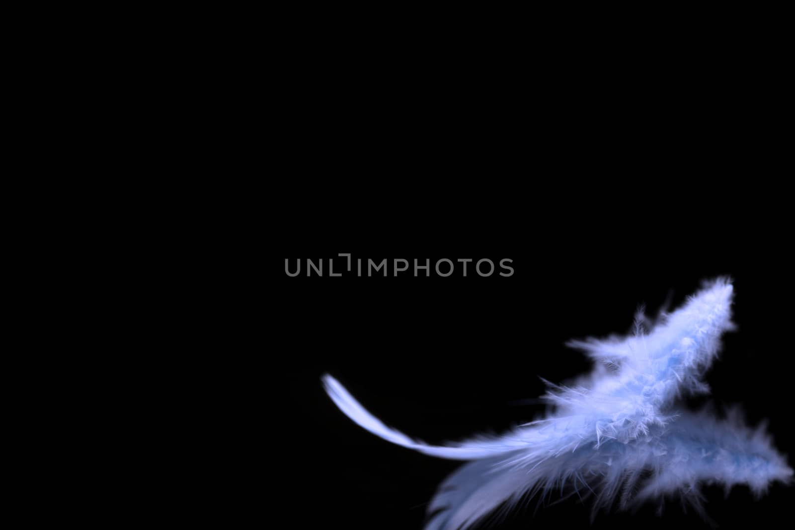 Blurred blue feather background by stellar