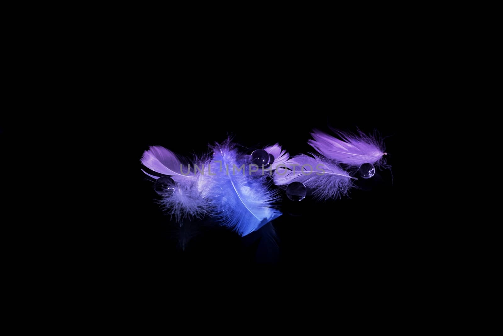 Blured  feather background by stellar