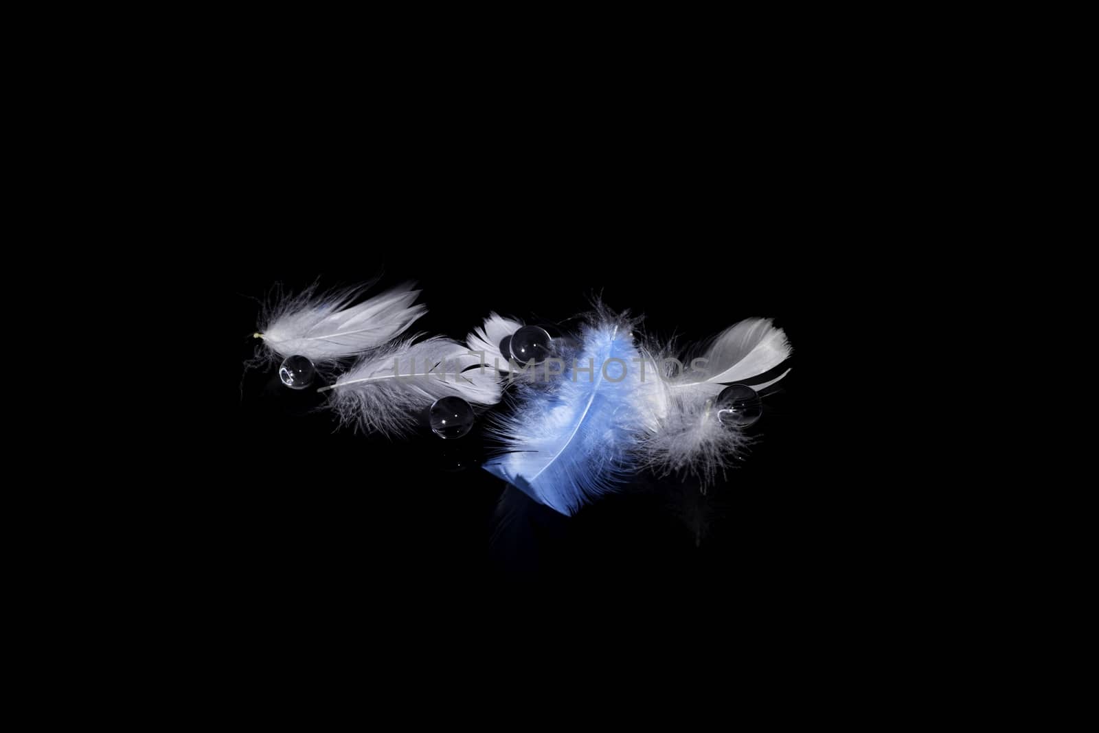 Blured  feather background by stellar