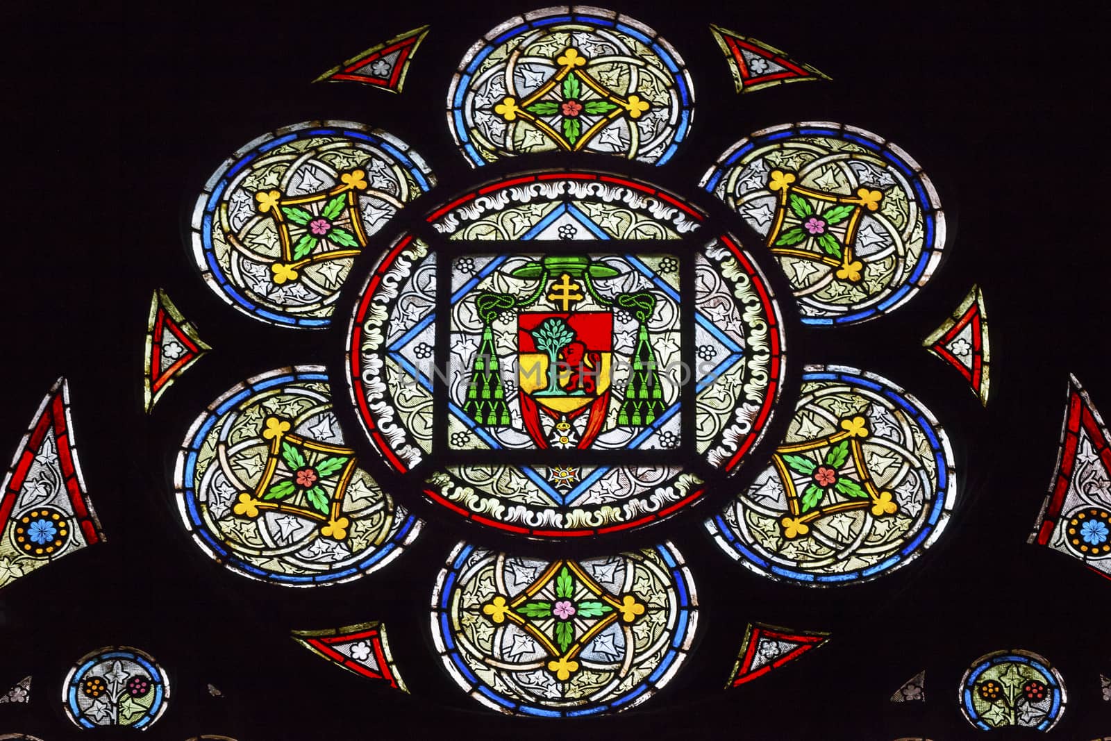 French Coat of Arms Stained Glass Notre Dame Paris by bill_perry