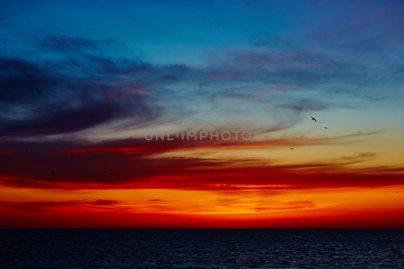 Sunset over the ocean by sarymsakov