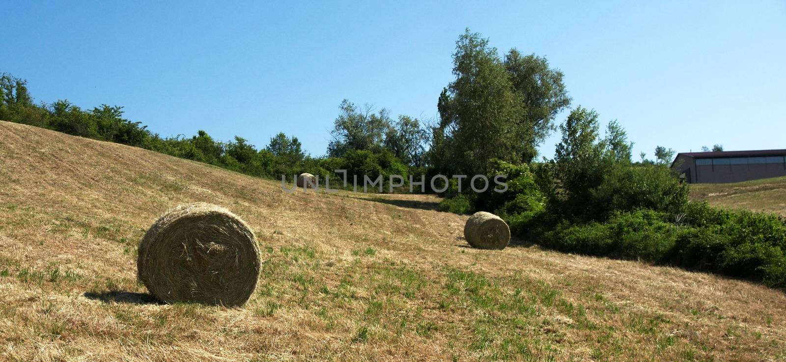 Rural views of Tuscany, Italy by javax