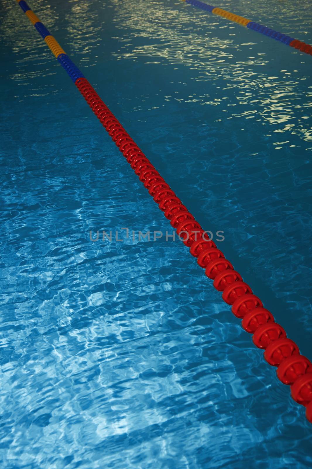 Swimming pool with lane markers. Vertical photo