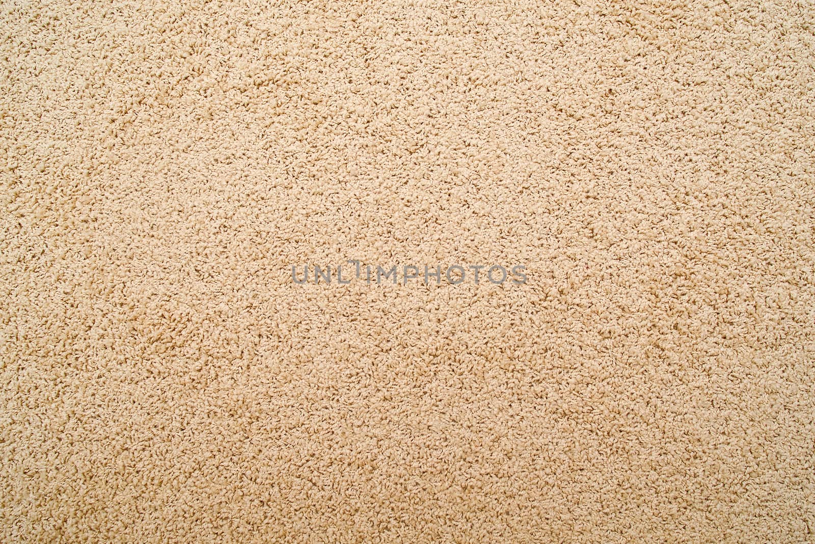 Carpet texture by stevanovicigor
