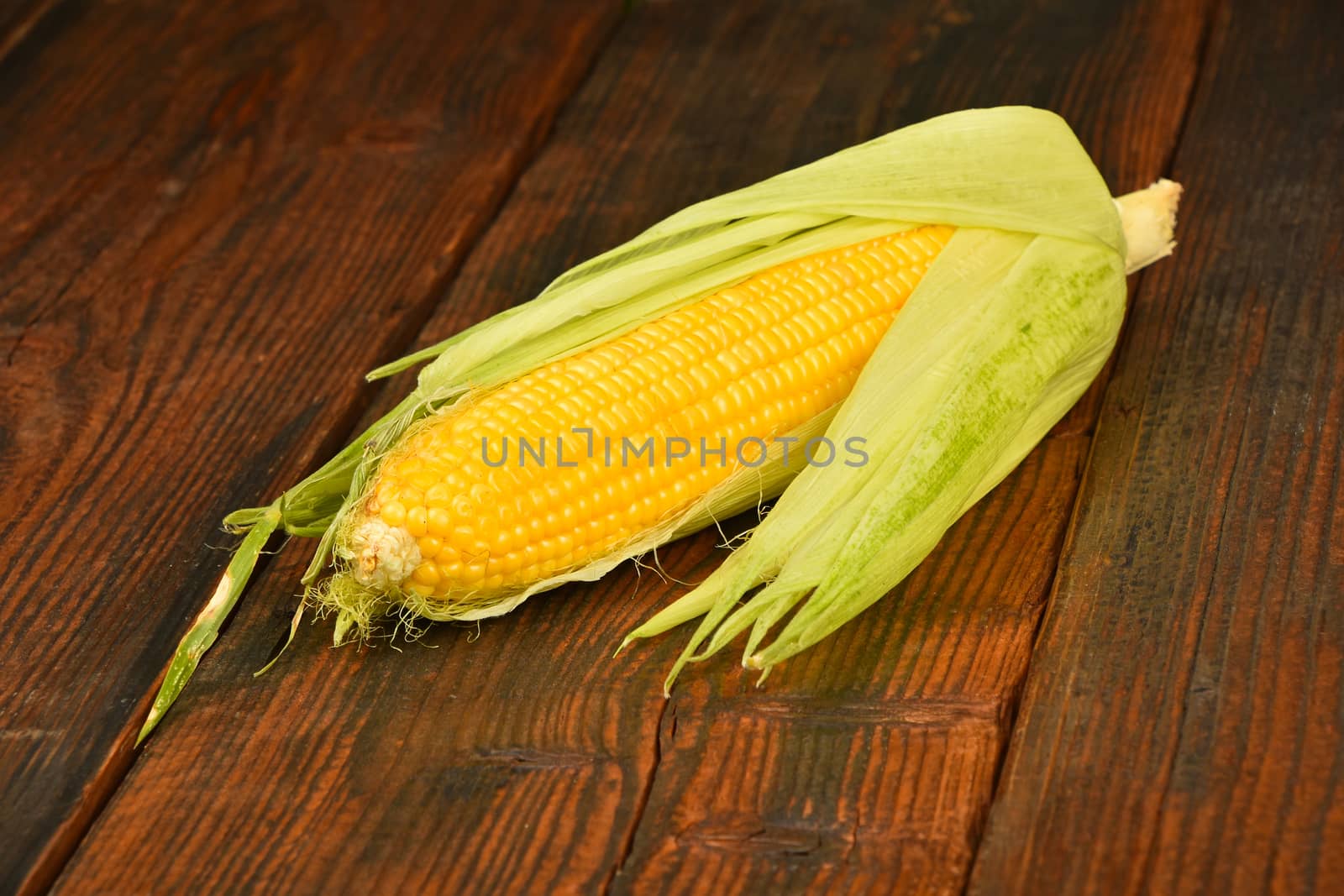 One open fresh yellow corn cob with green husk on dark brown vintage wooden surface