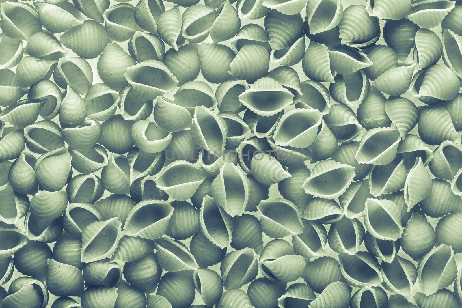 background the texture of raw pasta closeup