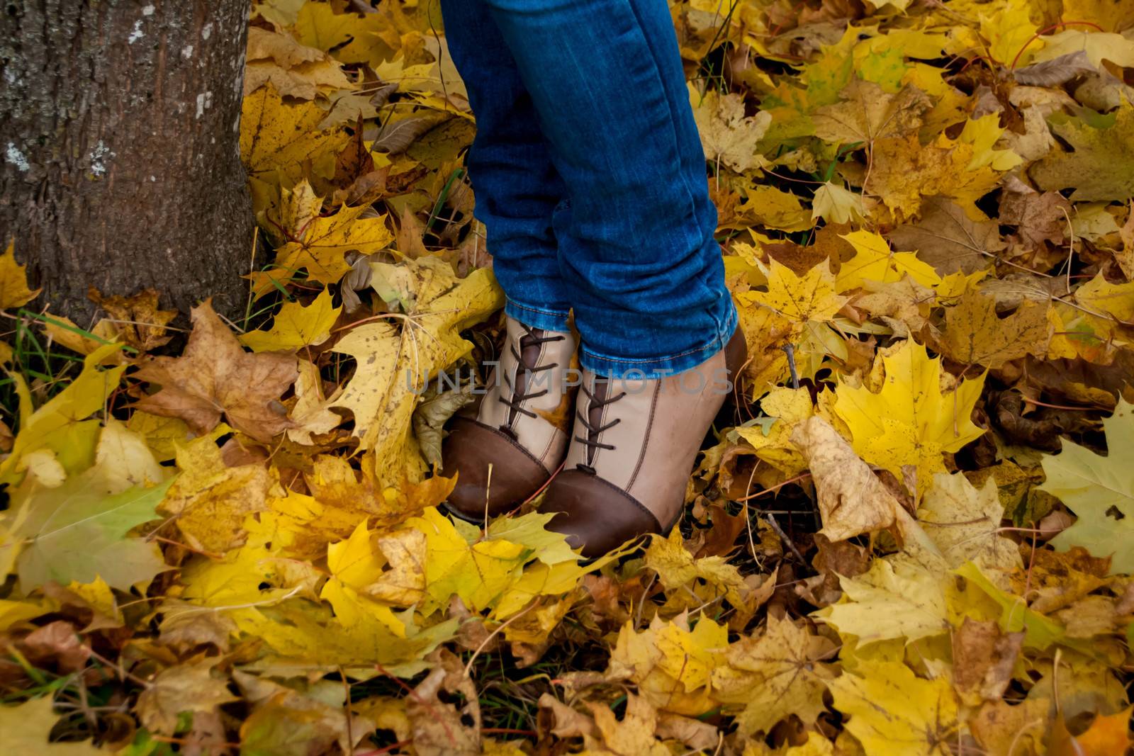 autumn, leaves, legs and shoes. Conceptual image of legs in boots on the autumn leaves. Feet shoes walking in nature