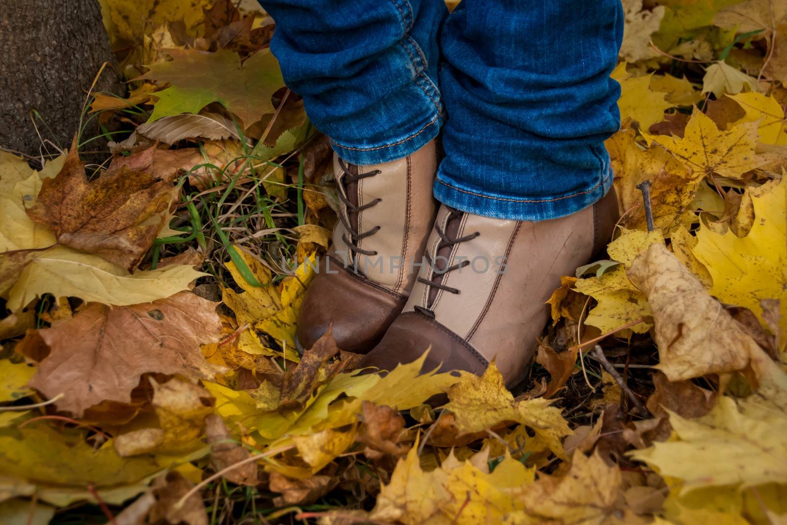 autumn, leaves, legs and shoes. Conceptual image of legs in boots on the autumn leaves. Feet shoes walking in nature