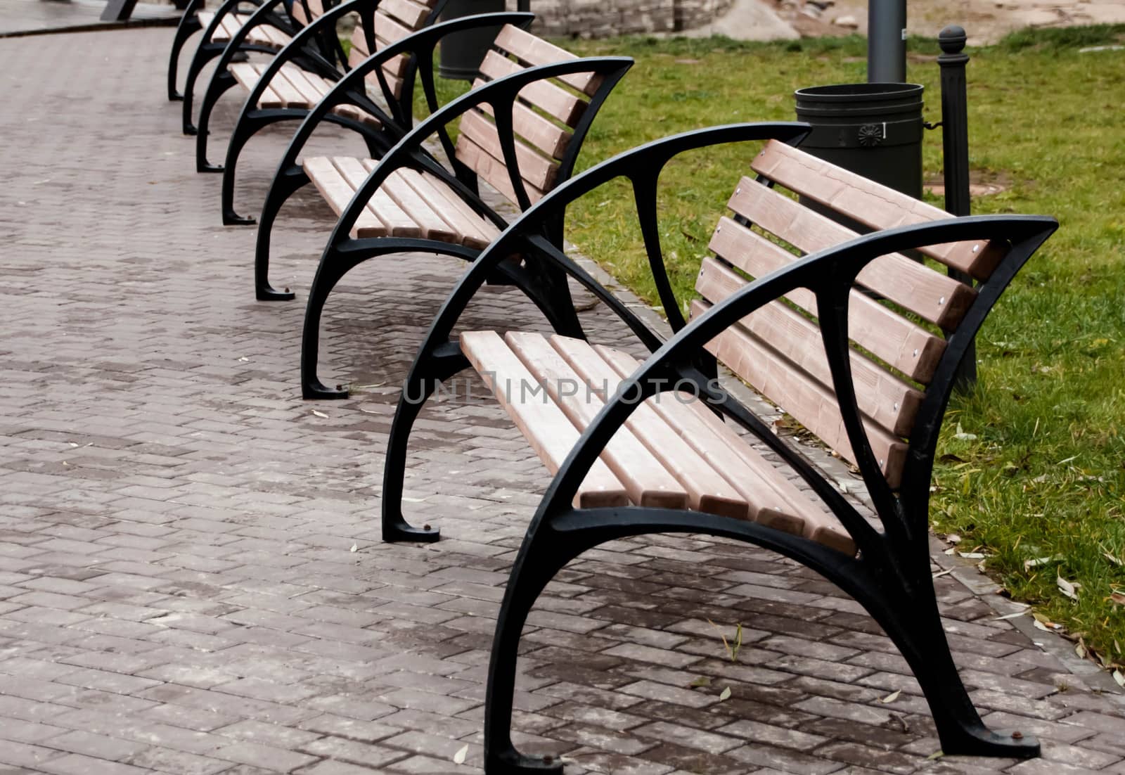 Empty wooden bench in the city park