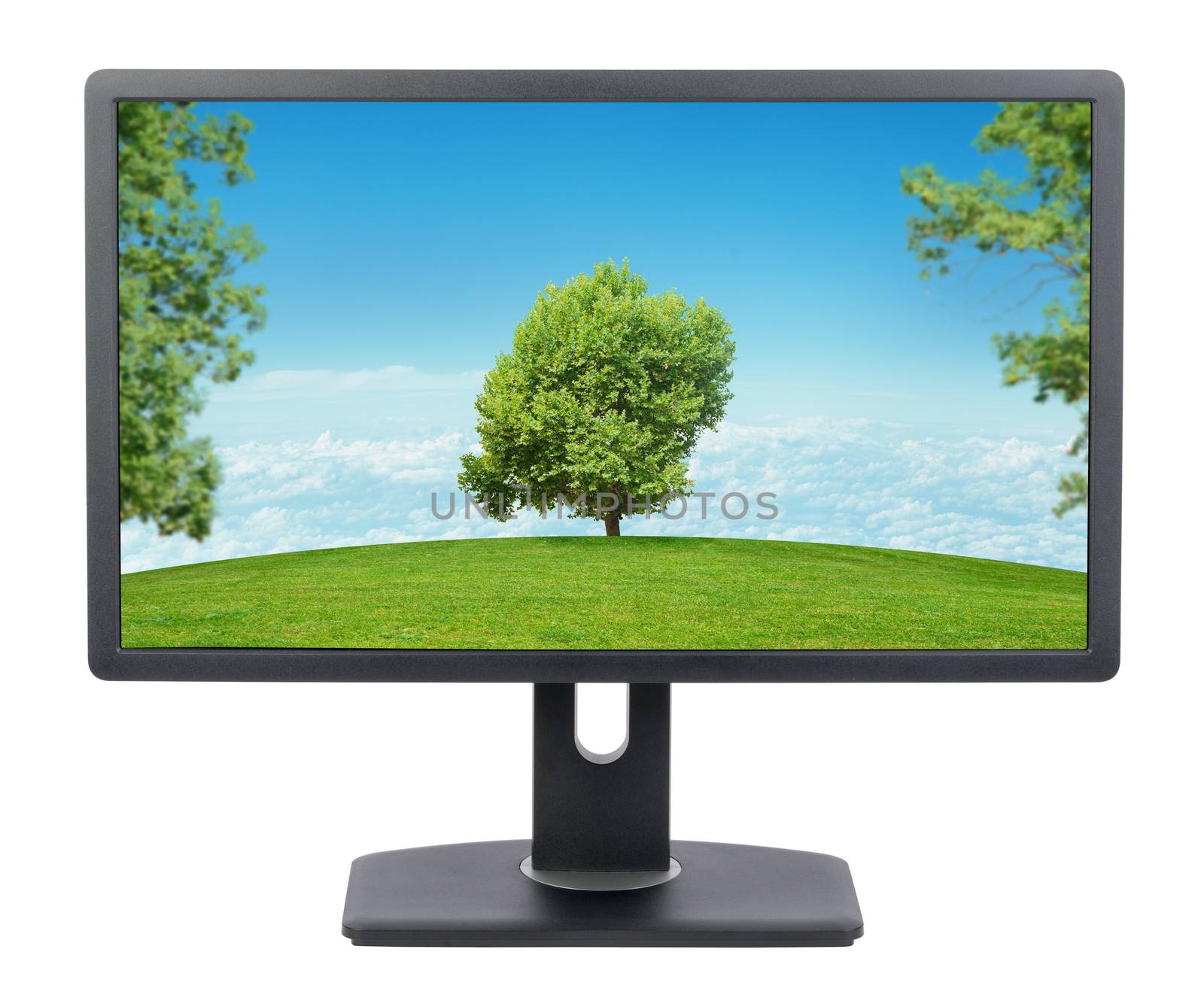 Display on isolated white background, front view