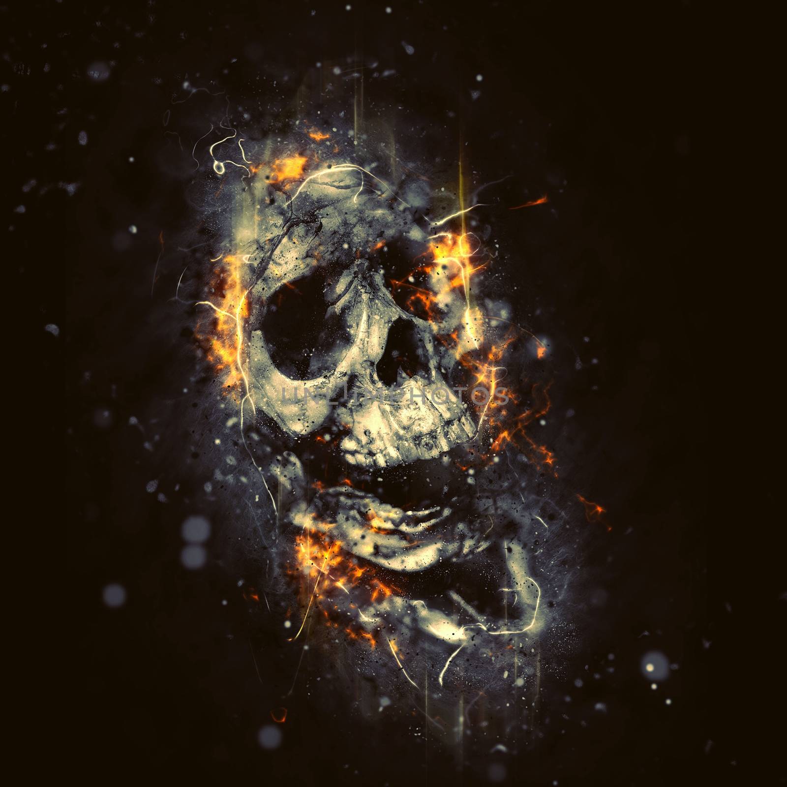 Skull in Flames by stevanovicigor