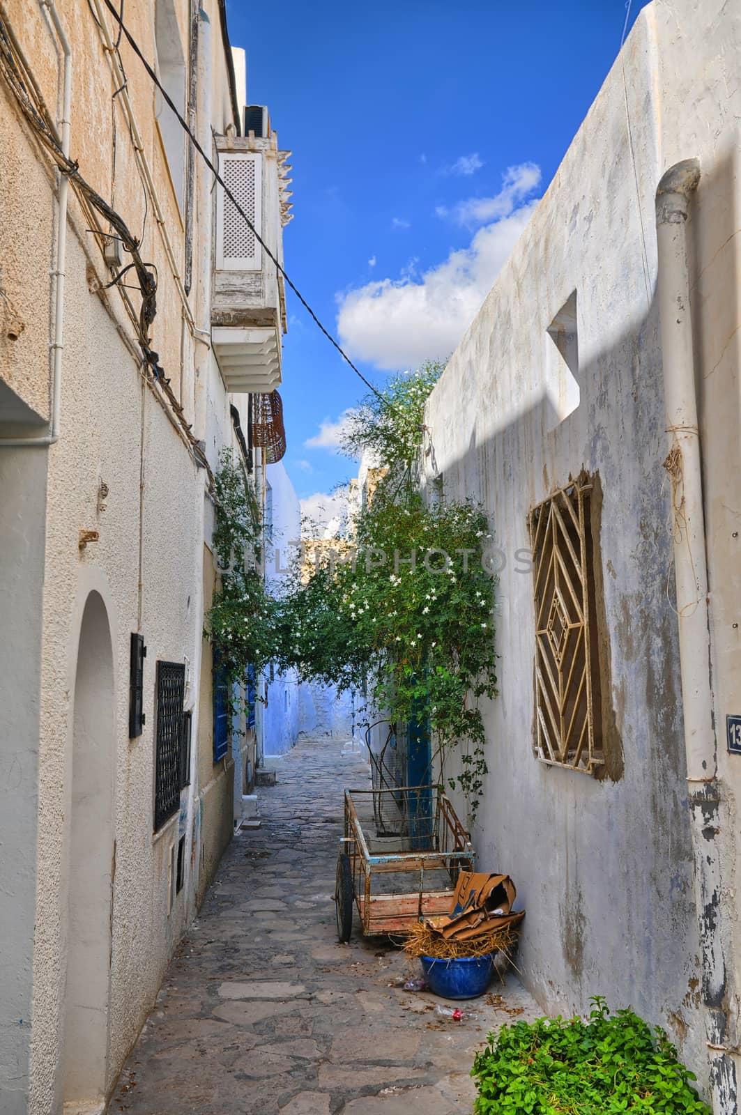 Narrow street of ancient Medina in Hammamet, Tunisia, Mediterranean Sea, Africa, HDR