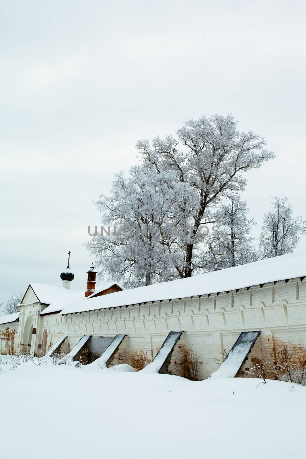White winter tree and big wall in Uglich
