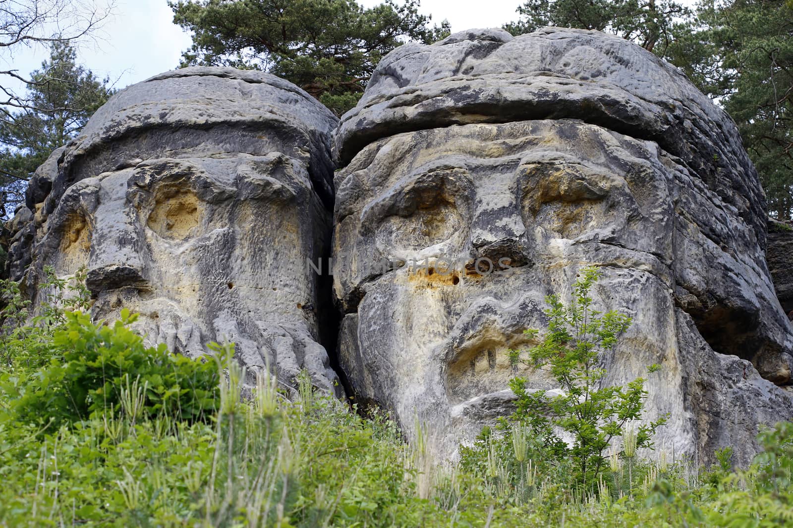 Heads of Devils are about 9 m high rock sculptures of giant heads carved into the sandstone cliffs in the pine forest above the village Zelizy in the district Melnik, Czech republic. It is the work of sculptor Vaclav Levy, who created in the period 1841-1846.