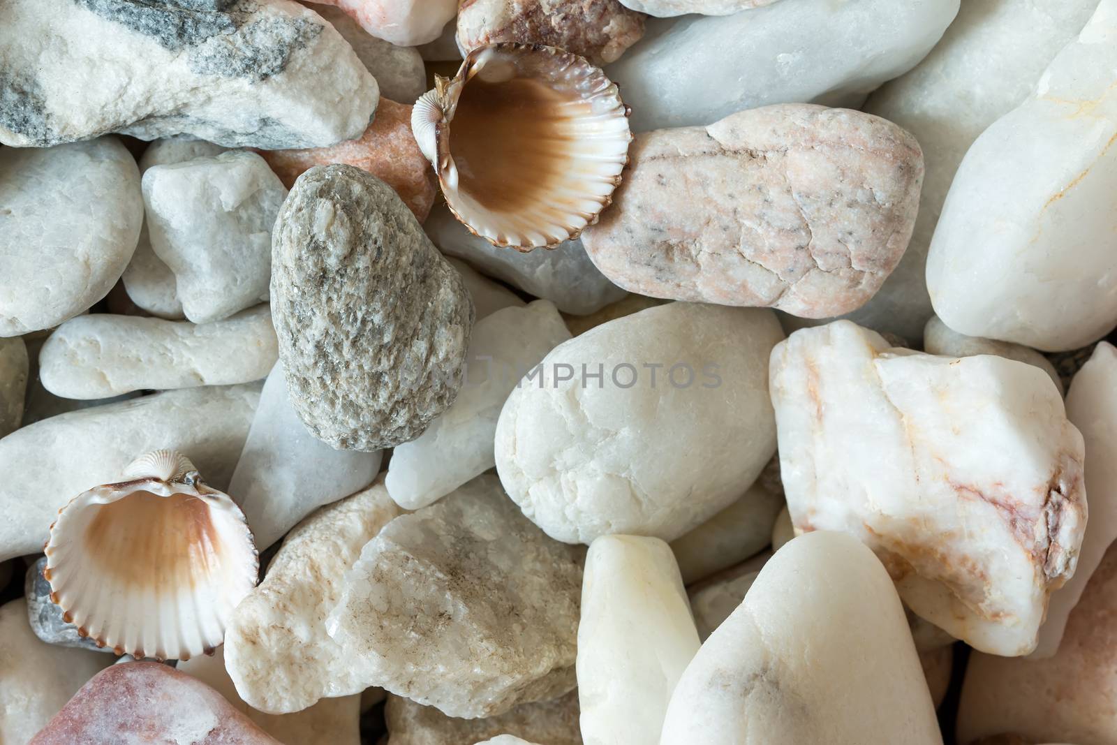 Detail of the various sea pebbles - gravel stones