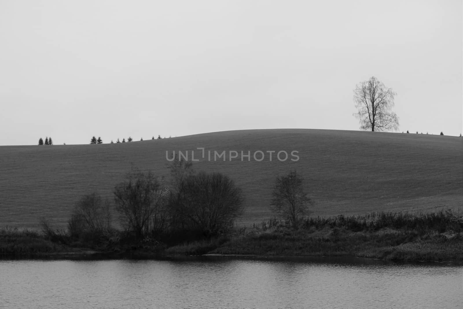 Landscape in greytones