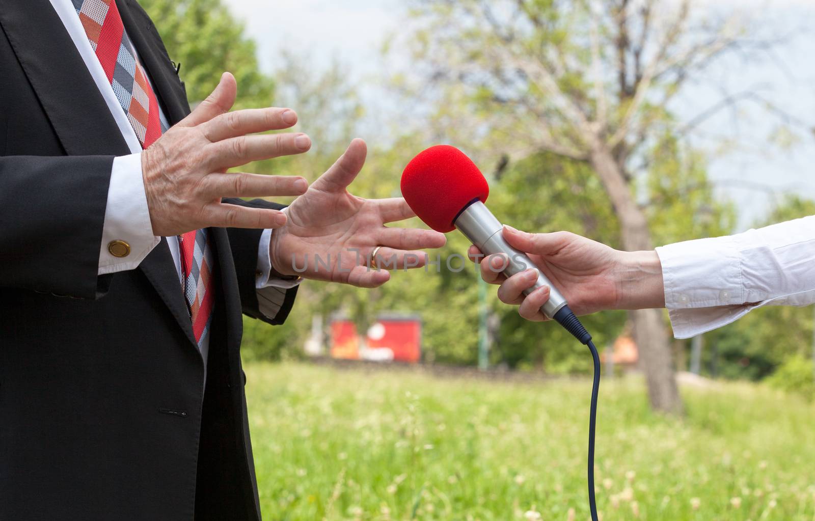 Journalist making interview with businessperson or politician 