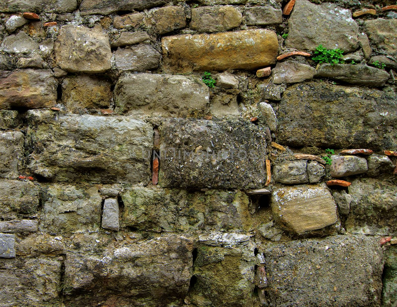 Background of Old and Cracked Stone Wall with Concrete and Green Grass closeup Outdoors