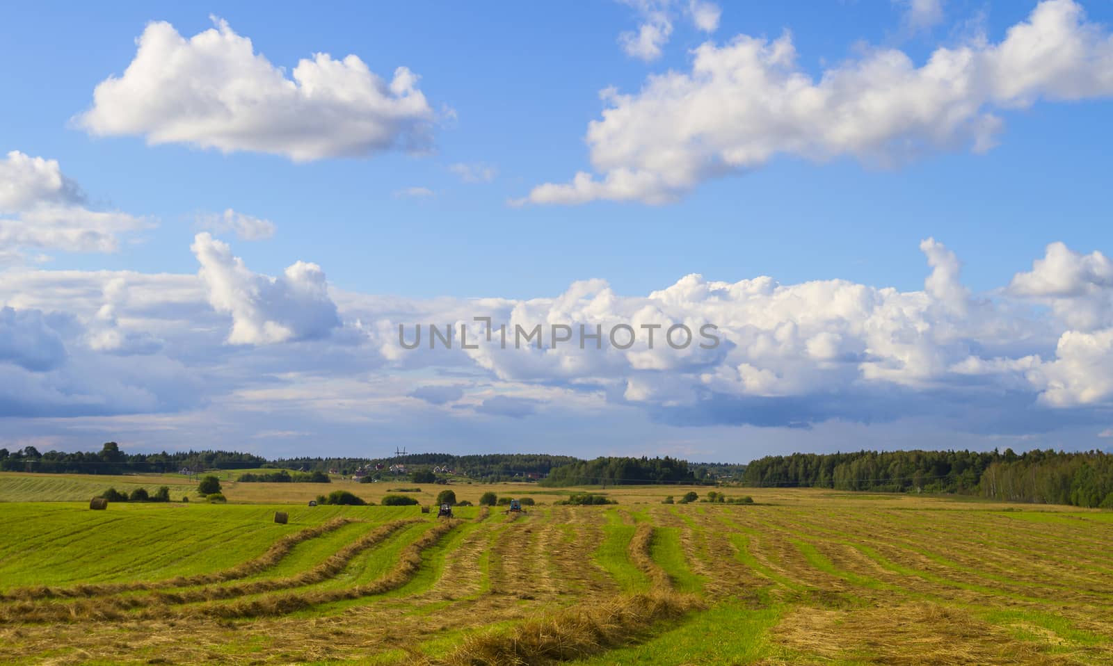 agricultural work on the field by aleksaskv