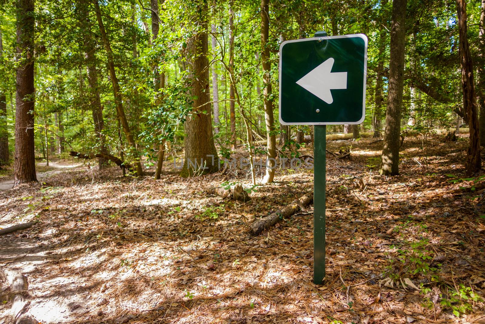 Arrow sign in a forest in Virginia, USA