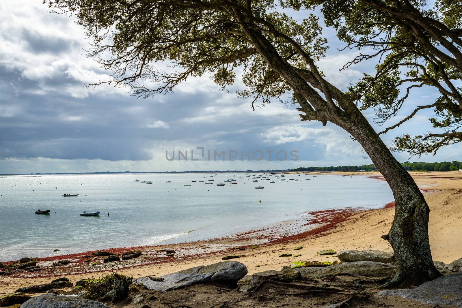 Beach in Noirmoutier Island, France. HDR picture.