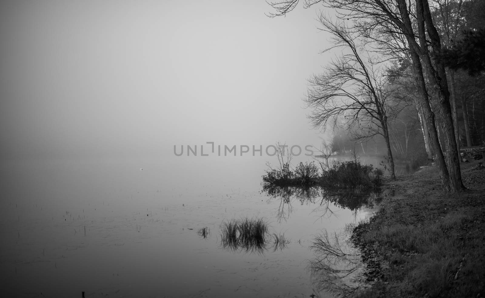 Still, cool air and warm lake water make for an early morning masking of the water in a near opaque fog show.