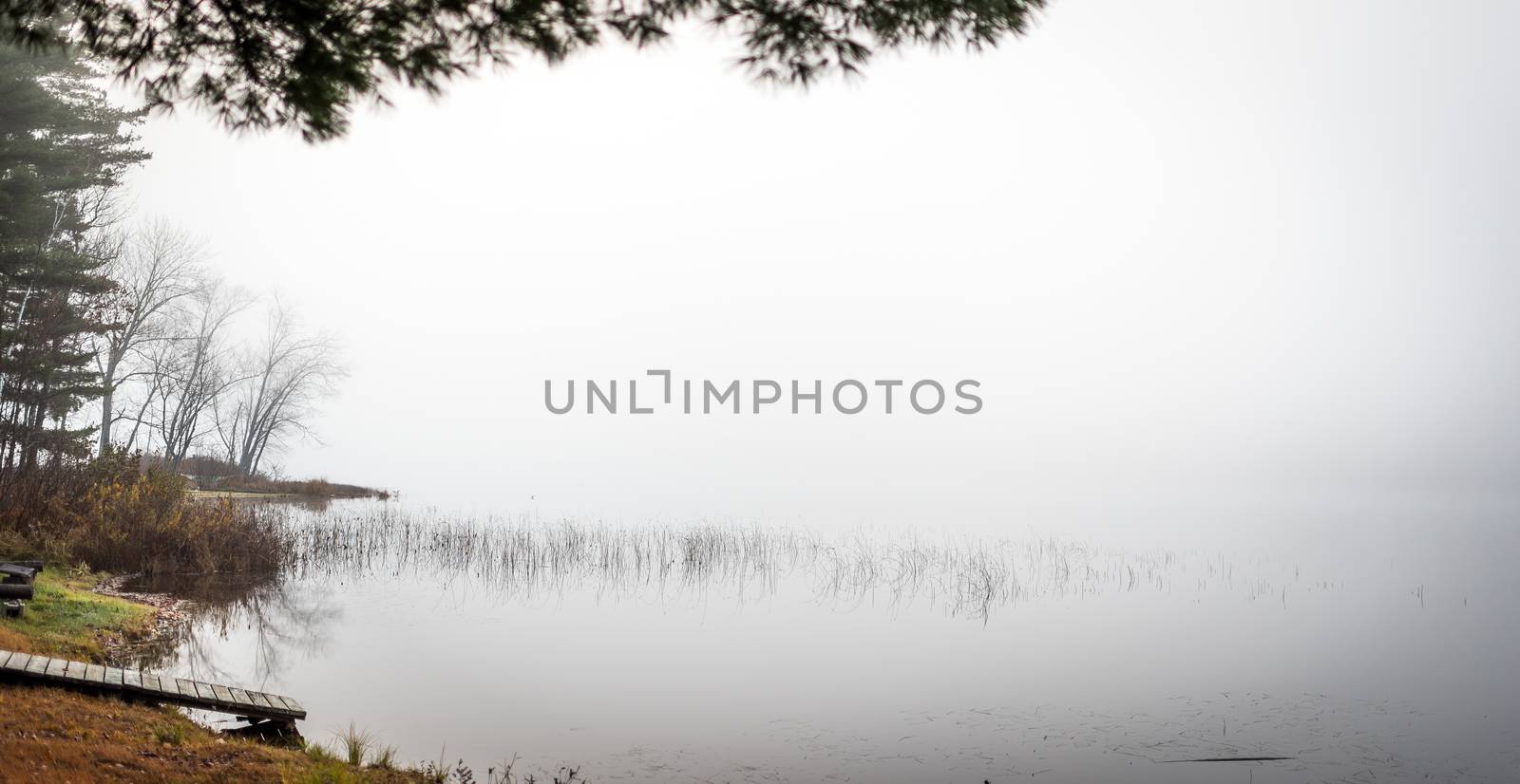 Stillness in early morning fog on a lake near Ottawa, Ontario by valleyboi63