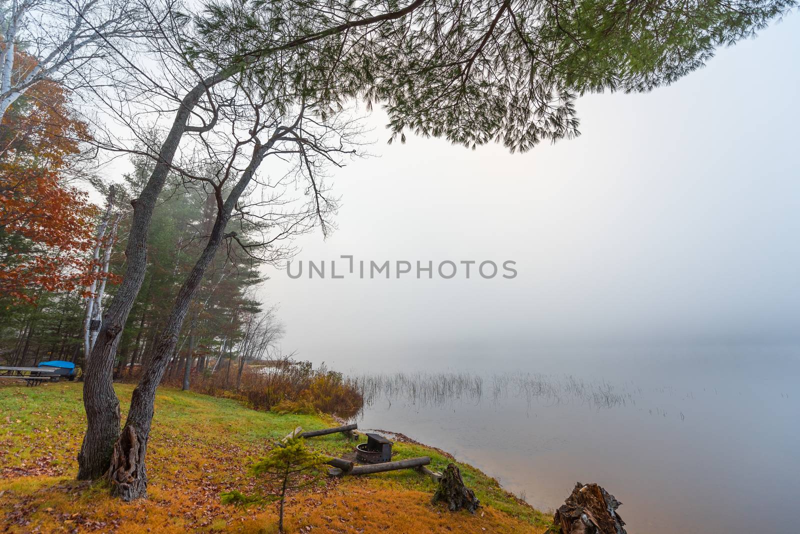 Still, cool air and warm lake water make for an early morning masking of the water in a near opaque fog show.