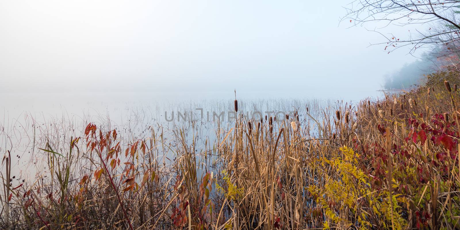 Still, cool air and warm lake water make for an early morning masking of the water in a near opaque fog show.