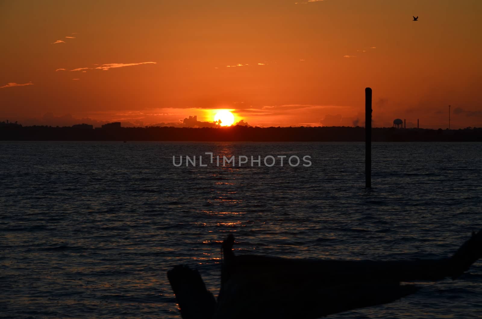 Orange day by northwoodsphoto