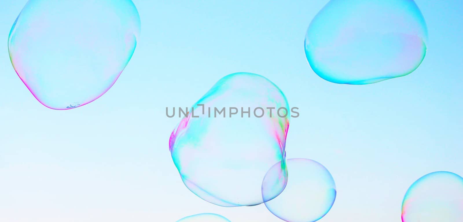 abstract close-up soap bubble background modern simple design with copyspace