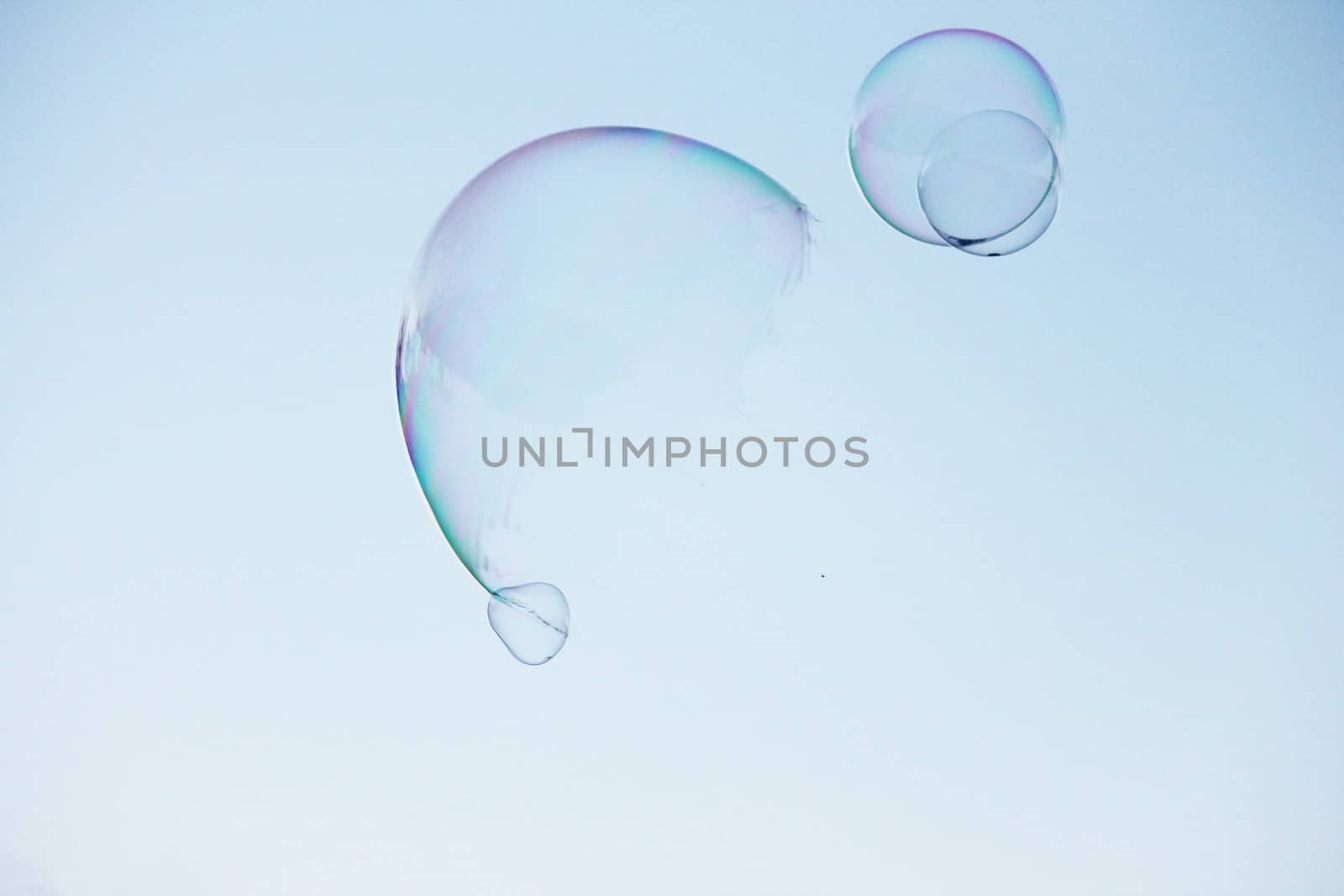 close-up soap bubble background modern simple abstract design with copyspace by cheekylorns