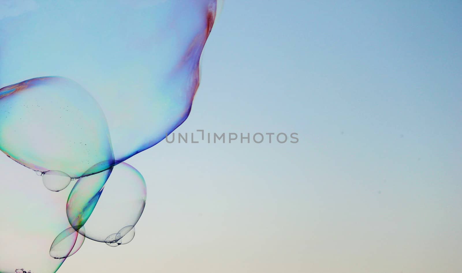 close-up soap bubble background modern simple abstract design with copyspace by cheekylorns