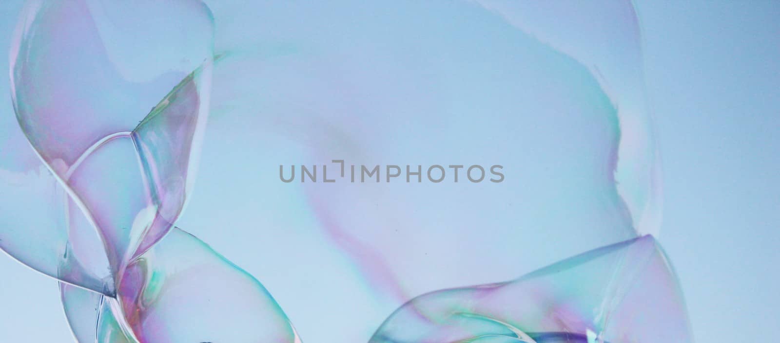 abstract close-up soap bubble background modern simple design with copyspace