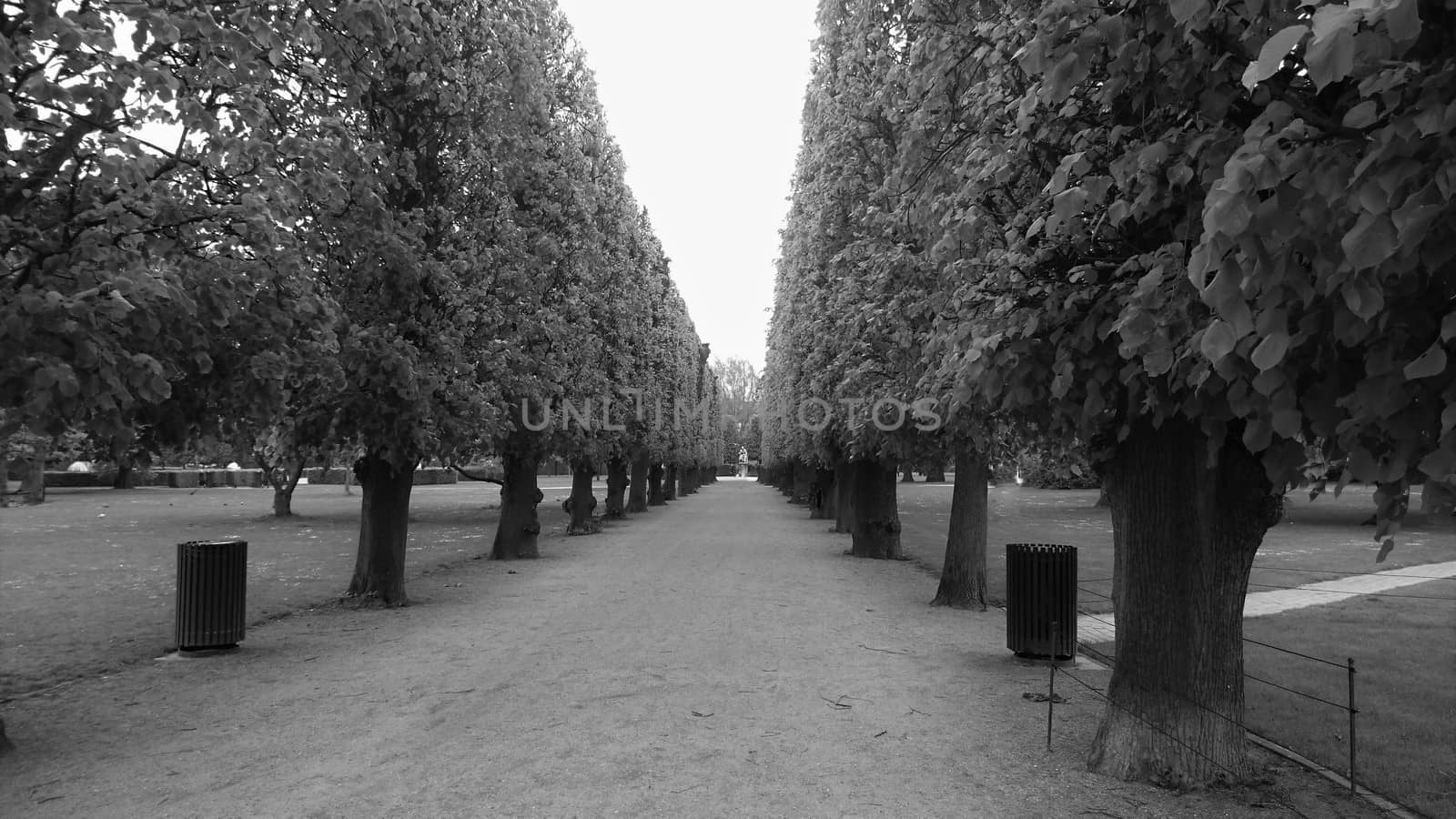 Trees in park, Copenhagen







Trees in park, cpoenhagen