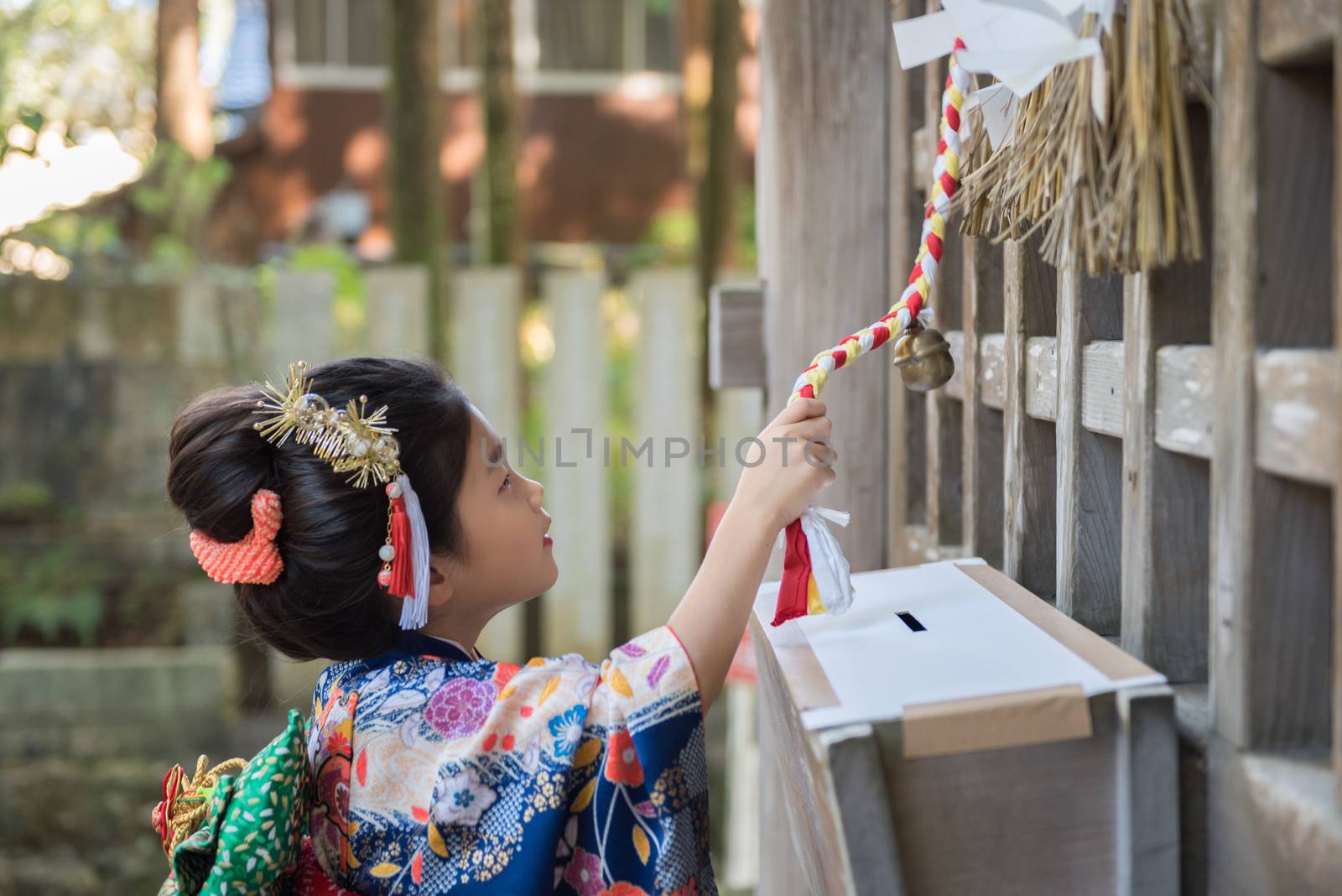 A young Japanese girl in a kimono outdoors at a shrine ringing a bell