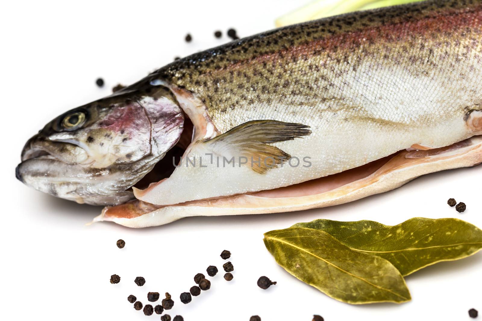 Fresh Salmon trout with bay leaf, black pepper and onion isolated