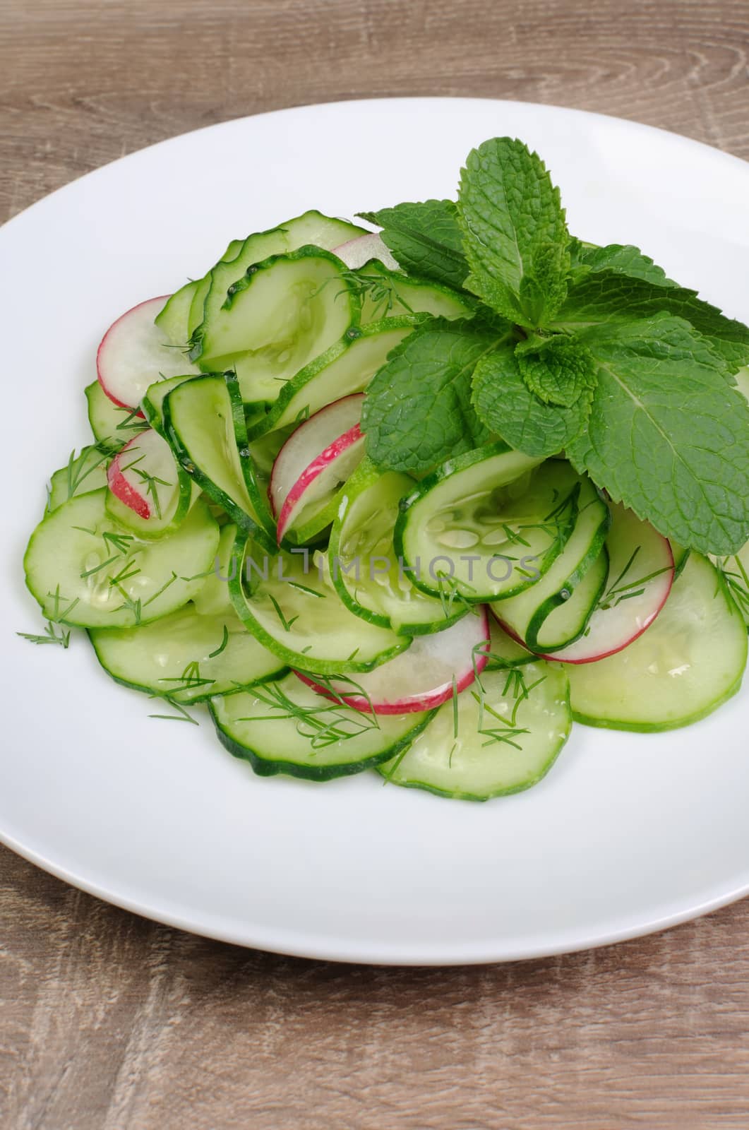 Salad cucumber with radish, dill and mint